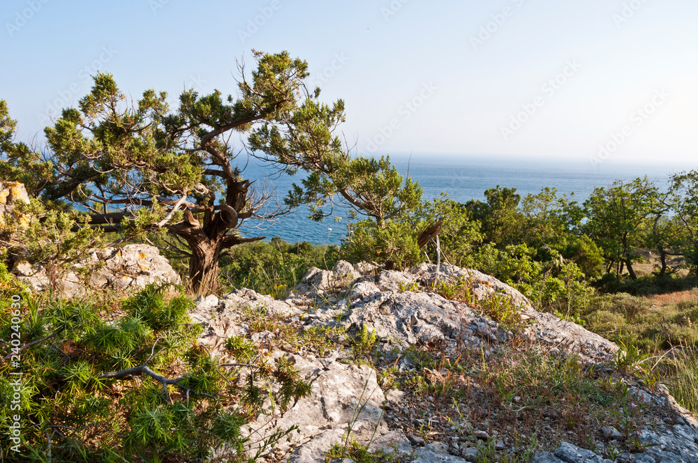 sea landscape in Foros (Ukraine, Crimea) sea landscape in Foros (Ukraine, Crimea)