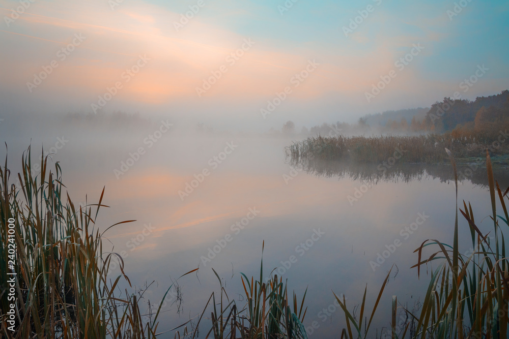 Dawn. Dawn.