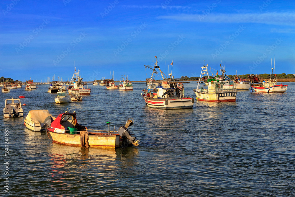 Obraz premium Fishing boats moored in the estuary