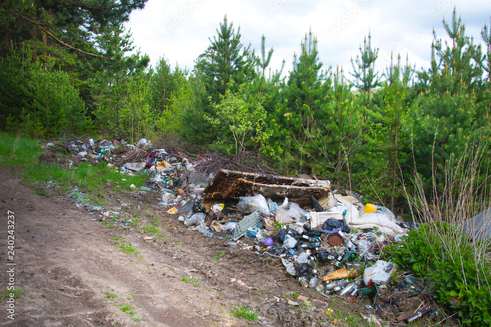 Pollution of the forest by household rubbish. A pile of garbage in the forest. The global problem of pollution. Pollution of the forest by household rubbish. A pile of garbage in the forest. The global problem of pollution.