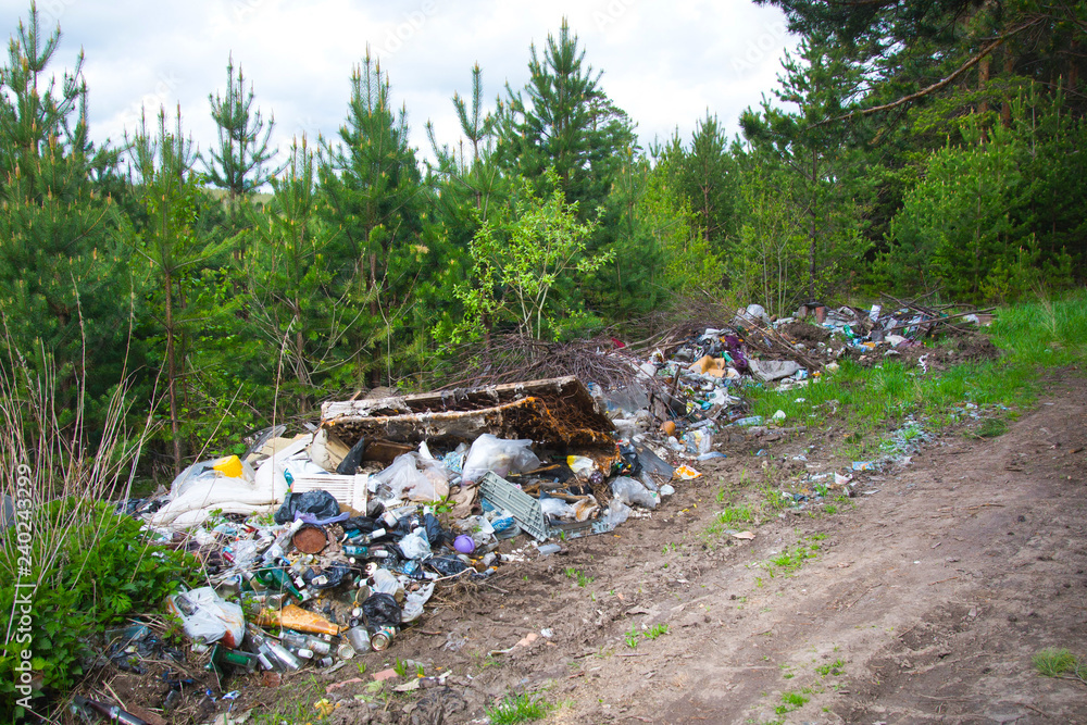 Pollution of the forest by household rubbish. A pile of garbage in the forest. The global problem of pollution. Pollution of the forest by household rubbish. A pile of garbage in the forest. The global problem of pollution.