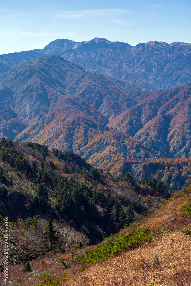 Naklejka premium 紅葉の三方岩岳から望む白山
