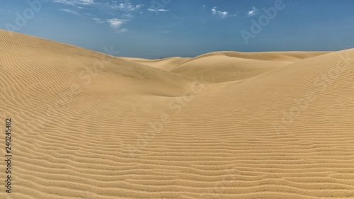 Fototapeta Naklejka Na Ścianę i Meble -  Schlangenlinien im Wüstensand