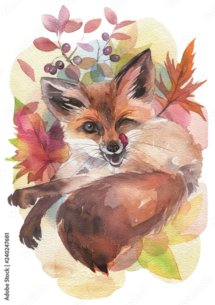 Fototapeta premium Cute winking fox, hand painted watercolor illustration on white background.