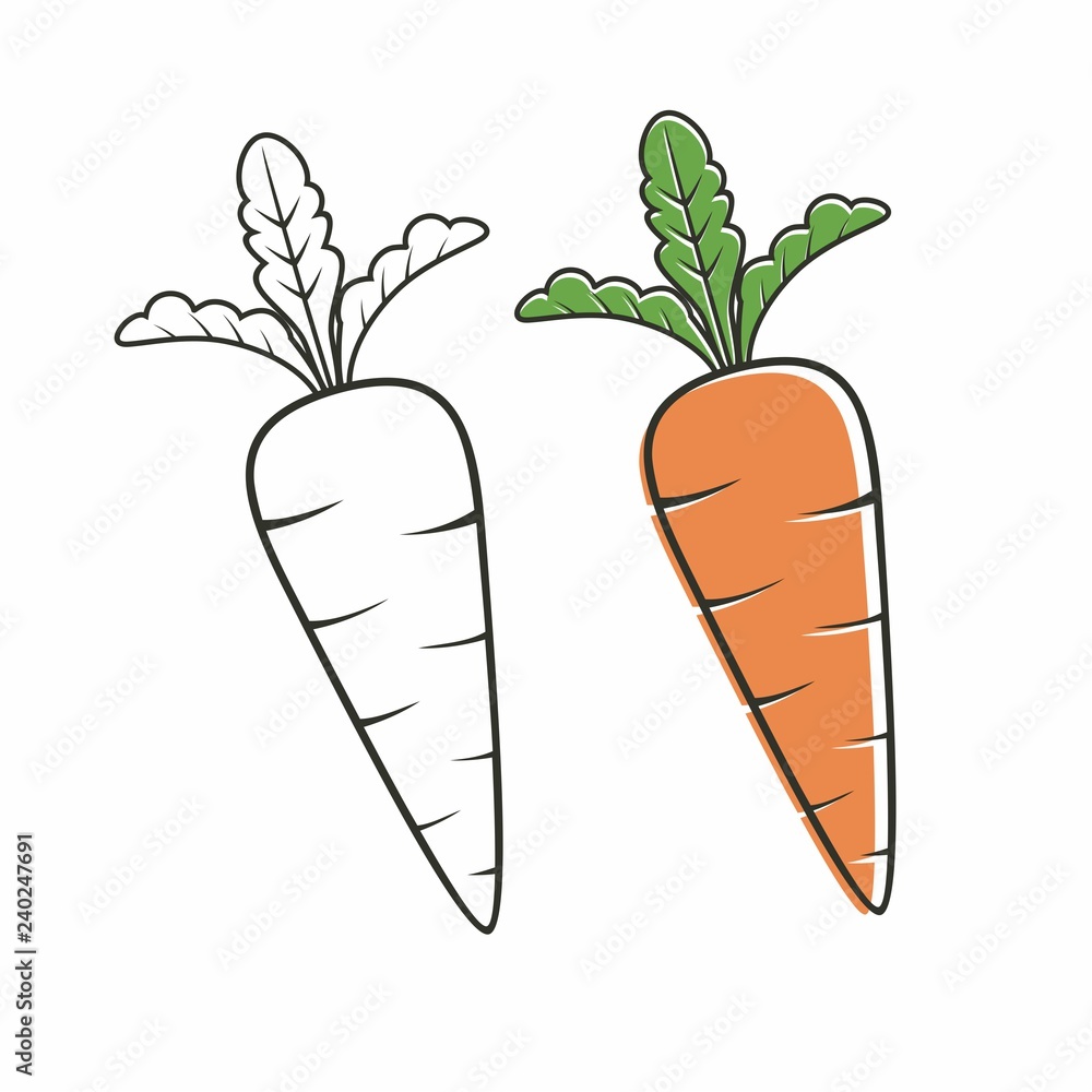 Free Vectors | Line drawing thick carrot icon