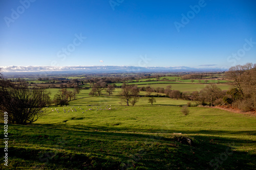 landscape with green field and blue sky