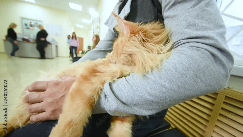 People with their pets are waiting for a medical examination at the veterinary clinic. Animal Health People with their pets are waiting for a medical examination at the veterinary clinic. Animal Health