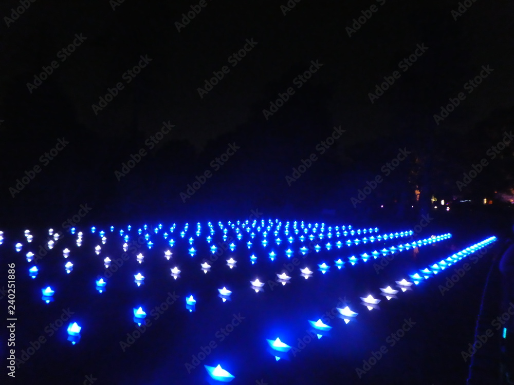 Christmas field of lights Christmas field of lights