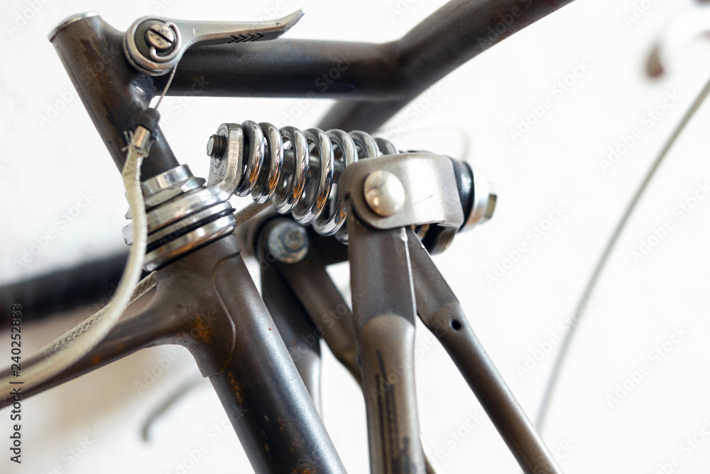Obraz premium Spring shock absorber