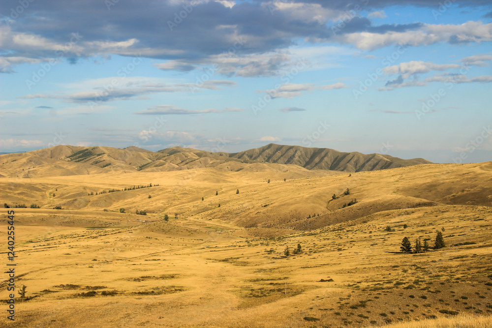 Beautiful dry Mongolian steppe with mountains rising in the distance. Summer in the steppe.