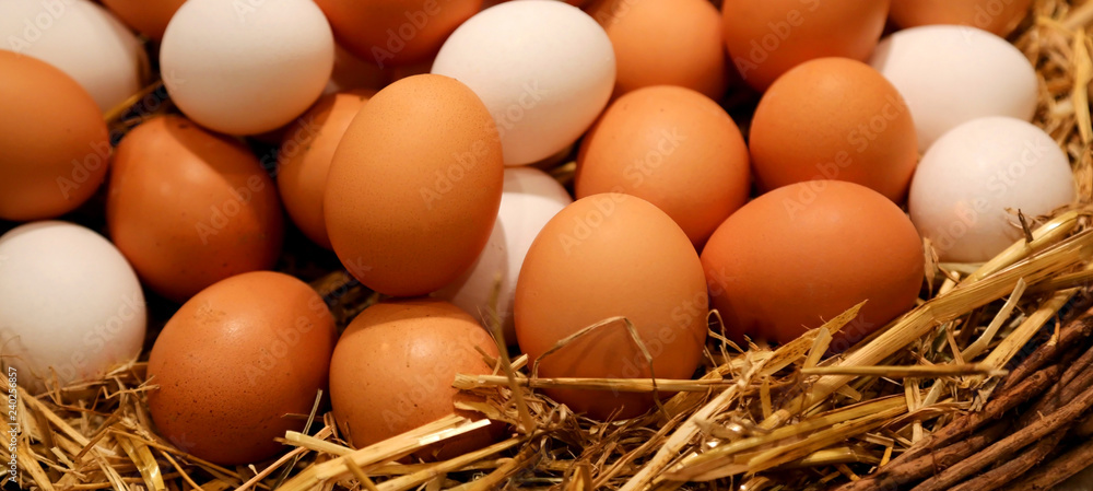 basket with chicken eggs basket with chicken eggs