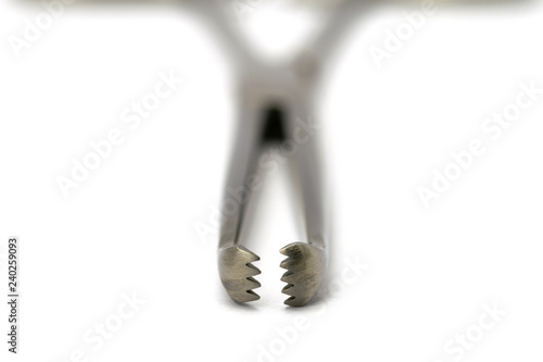 Allis tissue forceps on the white background