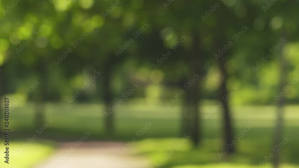 real lens blur of park in sunny day loopable real lens blur of park in sunny day loopable
