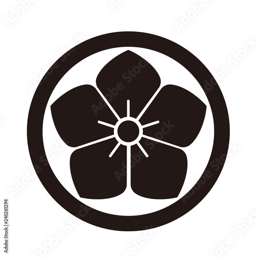 古布藍染　家紋　丸に桔梗 古布藍染体験 家紋 丸に桔梗 明治前期染付桔梗に菊とススキ
