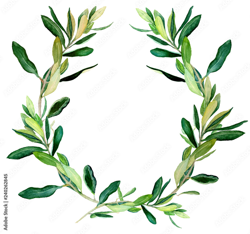 Watercolor olive wreath template on white background. Hand drawn watercolor illustration. Design for covers, packaging, season offers, just add your text.