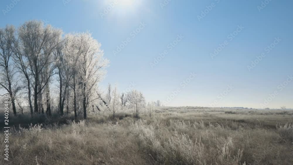 Early winter. The sun over Meadows, bushes and trees covered with frost. Fabulous Winter landscape Early winter. The sun over Meadows, bushes and trees covered with frost. Fabulous Winter landscape