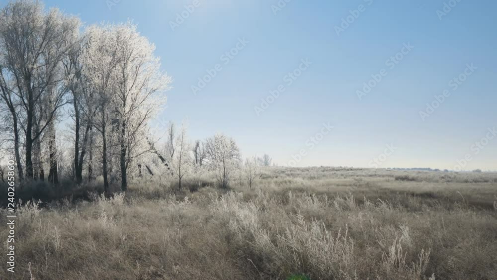 Early winter. The sun over Meadows, bushes and trees covered with frost. Fabulous Winter landscape Early winter. The sun over Meadows, bushes and trees covered with frost. Fabulous Winter landscape