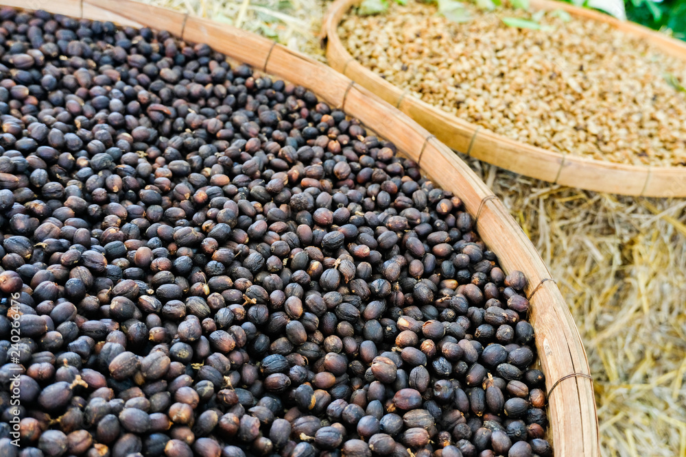 Coffee beans Coffee beans