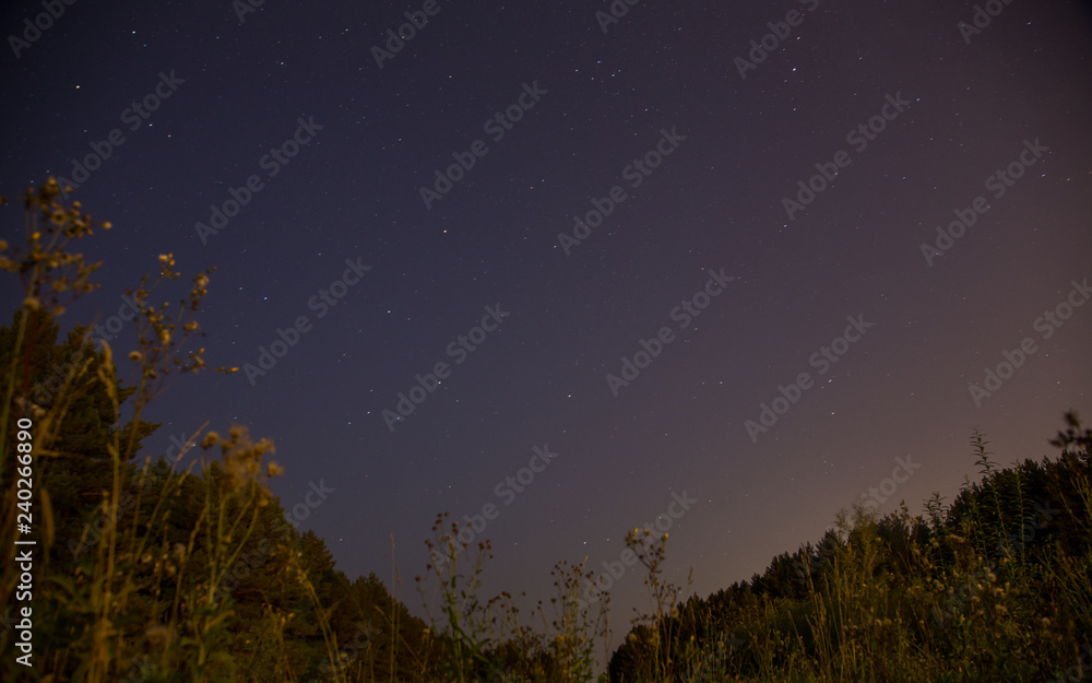 Fototapeta premium Summer night. Starry sky over the forest. Field and trees on a warm summer night. Sweet time in nature. When the city falls asleep.