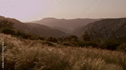 Southern California Mountain Meadow photo