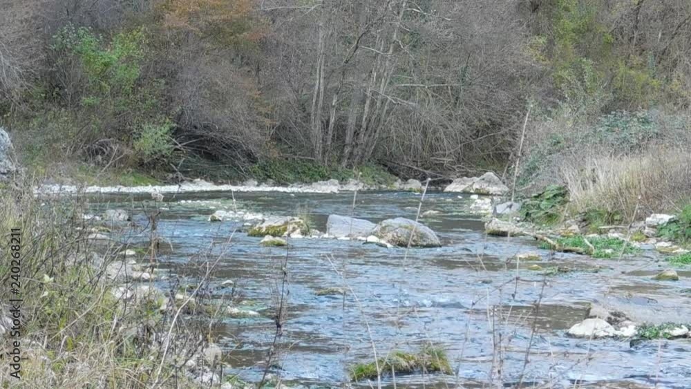 The trout jumps from the mountain river The trout jumps from the mountain river