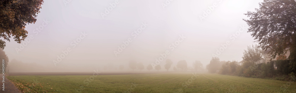 Panorama of a foggy field in the morning. Rural landscape with some tree silhouettes. Panorama of a foggy field in the morning. Rural landscape with some tree silhouettes.