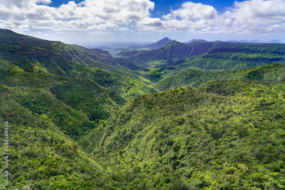 Obraz premium Black River Gorges National Park on Mauritius island. The park contains most of the islands remaining rainforest.