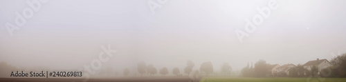 Panorama of a foggy field in the morning. Rural landscape with some tree and houses silhouettes.