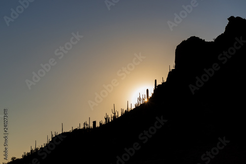 Silhouette of an Arizona mountainside covered in saguaro cacti