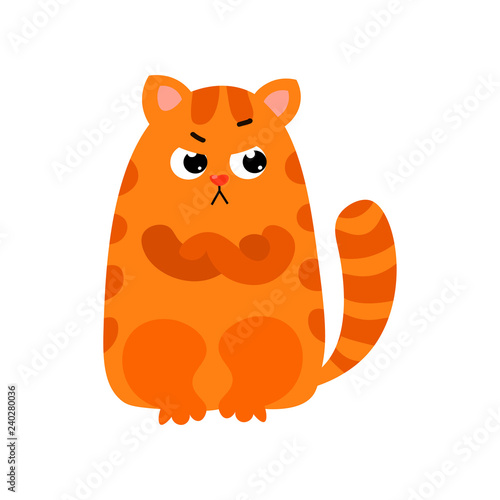  ute red cat with big black eyes and a nose in the form of a heart spends its free time.