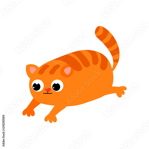  ute red cat with big black eyes and a nose in the form of a heart spends its free time.
