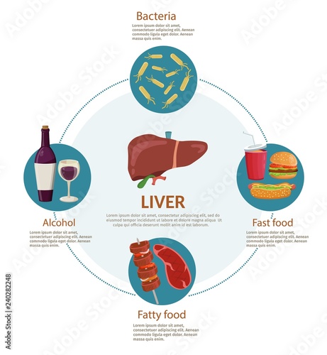 Causes of Liver Disease infographics medical background illustration