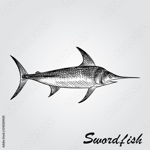 Hand Drawn Swordfish Sketch Symbol isolated on white background. Vector of Fishing elements In Trendy Style. Sketch of saltwater sea or freshwater river fish species flounder