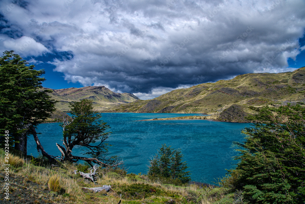 Fototapeta premium Torres del Paine Scenery