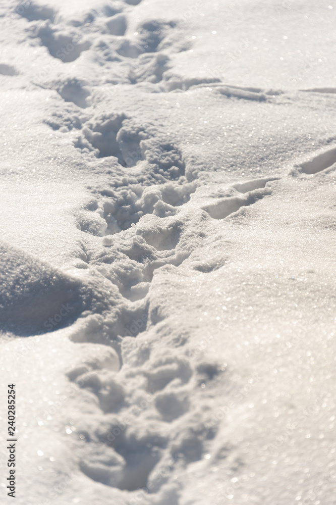 background of fresh snow texture
