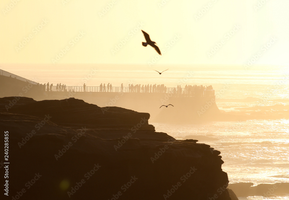 Naklejka premium Seagull flying over the coastline at sunset in San Diego California