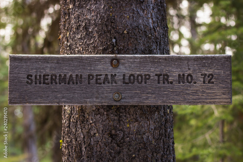 sherman peak loop trail number seventy two trailhead sign photo