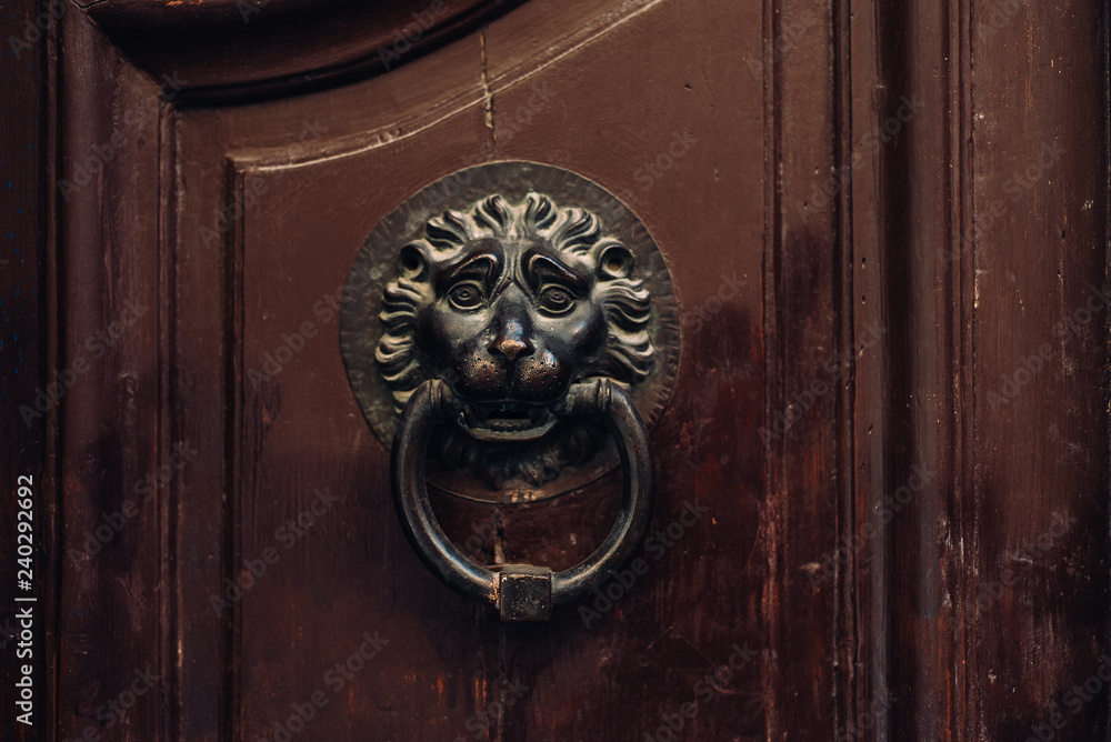 Wooden door with an old door handle with a lion