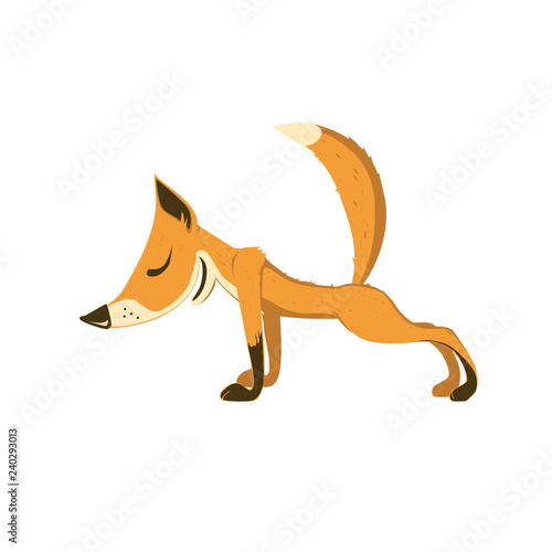 Fox does yoga. Surya Namaskara meditation. Ashtanga vinyasa yoga poses.