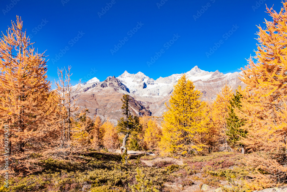 View of Gabelhorn from findel river in Zermatt View of Gabelhorn from findel river in Zermatt