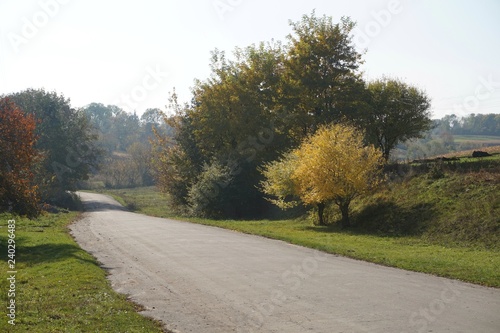 road in the countryside