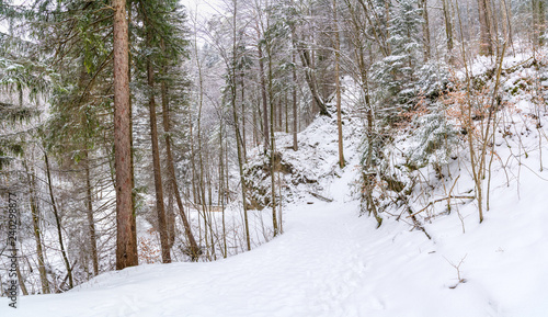 The mountain trail at the lake Tegernsee (German: Tegernseer Höhenweg) in the Bavarian Alps, Germany. The area around the Tegernsee lake serves as a recreational area with activities including hiking.