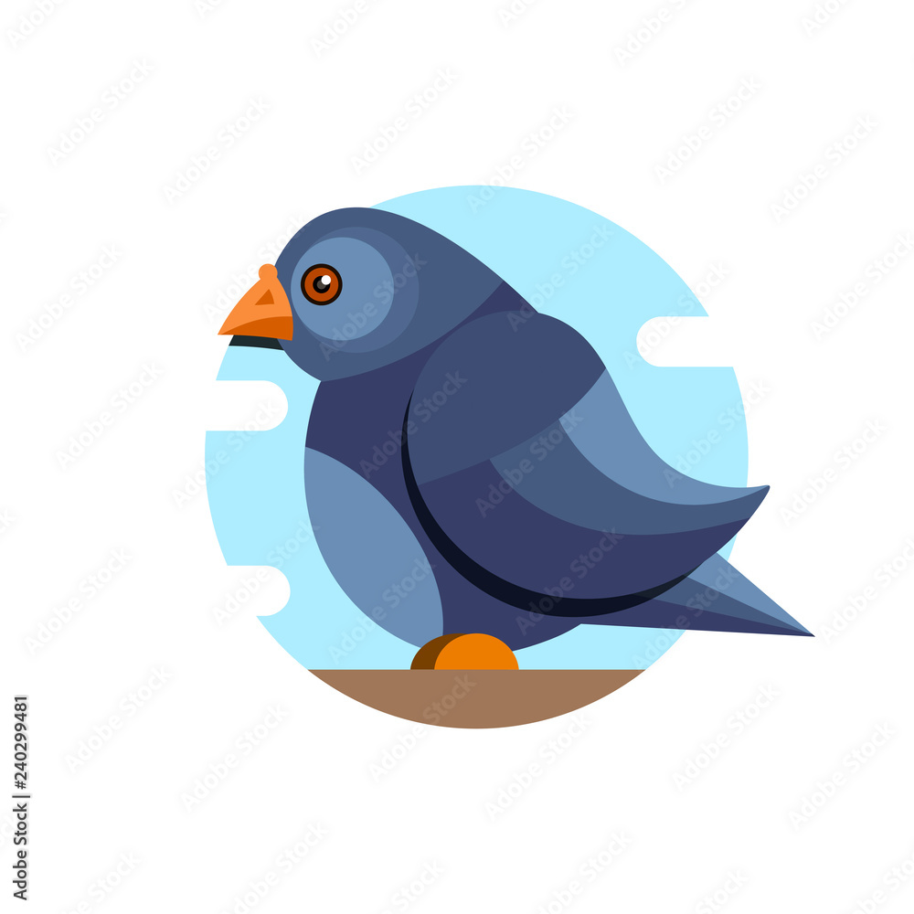 Fototapeta premium Pigeon vector character color flat illustration pigeon