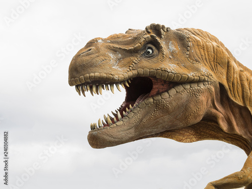 Head profile of a Tyrannosaurus rex  T-rex  model