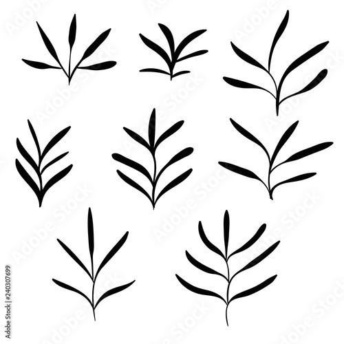 Big set of black hand drawn thin line cute doodle floral icons, flowers, plants. Design element collection isolated on white. Vector illustration. 