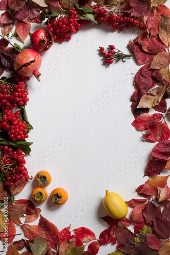 Red leaves and ripe berries on white background records