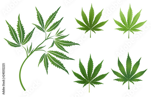 A set of cannabis icons  Marijuana leafs.