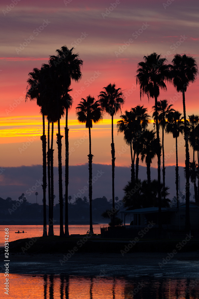 Obraz premium Iconic silhouette of palm trees over Mission Bay San Diego