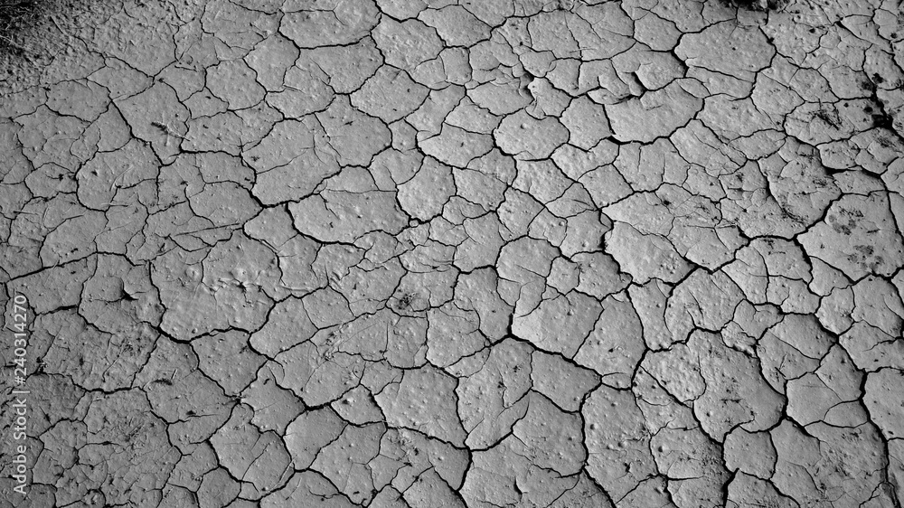 Drought in the western USA causes the earth to crack on a lake bed. Drought in the western USA causes the earth to crack on a lake bed.