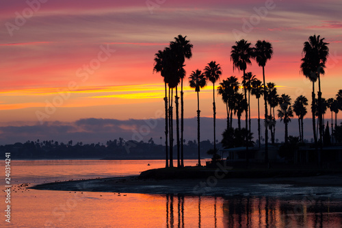 Iconic silhouette of palm trees over Mission Bay San Diego photo